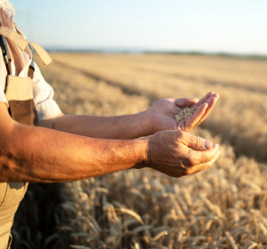 Assurance pro et agriculteur